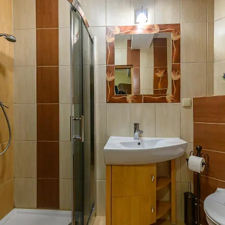 Visitzakopane - Apartament Tetmajerowka * Ζακοπάνε